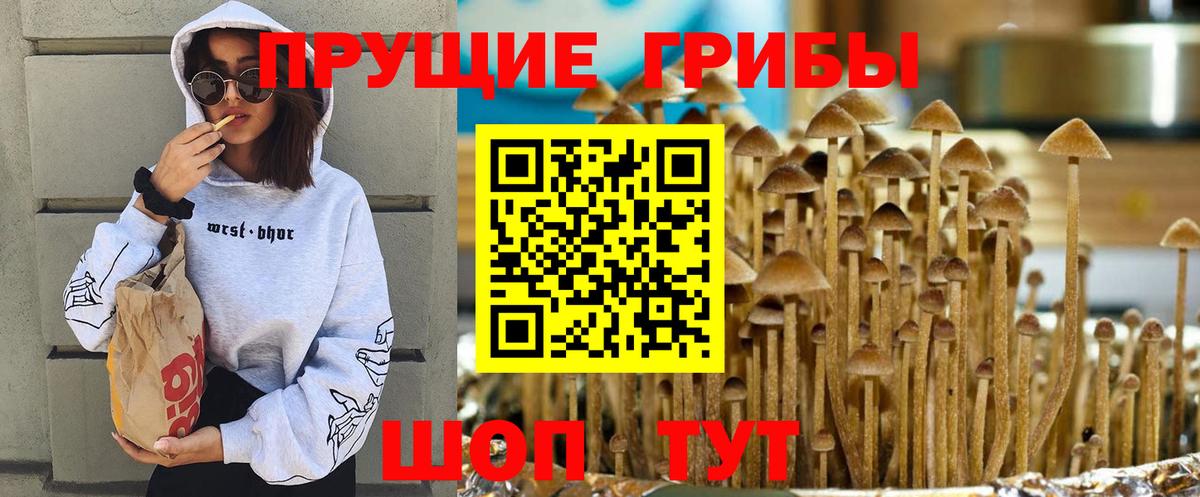 Галлюциногенные грибы Psilocybine cubensis  Псилоцибиновые грибы Psilocybe  продажа наркотиков  Вход с VPN  Зима 