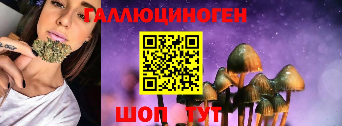 Псилоцибиновые грибы ЛСД Зима
